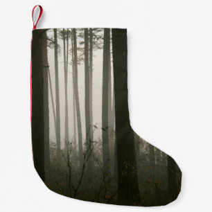 Meia De Natal Pequena floresta e silhuetas de árvores na natureza