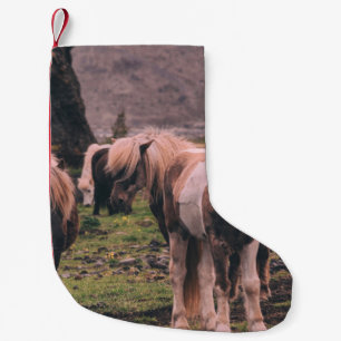 MEIA DE NATAL PEQUENA FOCUS FOTOGRAFIA DE CAVALOS