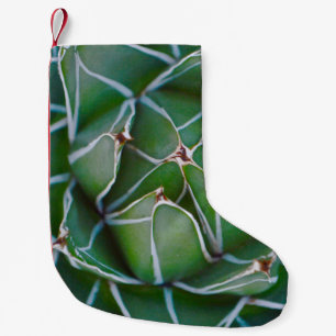 Meia De Natal Pequena Foto aproximada de planta verde e branca