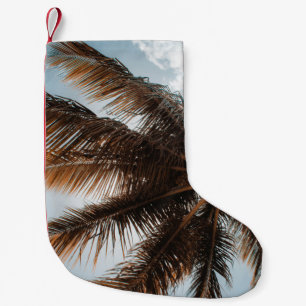 Meia De Natal Pequena Foto de baixo ângulo do coco