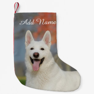 Meia De Natal Pequena Foto de cão branco-branco com pastor suíço - No