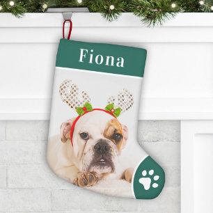Meia De Natal Pequena Foto de Monograma de Pet Paw Verde Festivo Imprimi