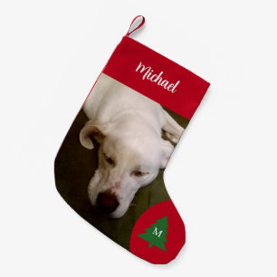 Meia De Natal Pequena Foto do Cão-Cãozinho Branco Dormindo