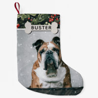 Foto e nome personalizados do cão festivo Folhagem
