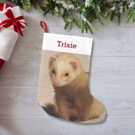 Meia De Natal Pequena Foto e nome personalizados do Pet Ferret Lover