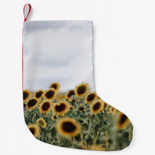 MEIA DE NATAL PEQUENA FOTO FECHADA DE FLORES