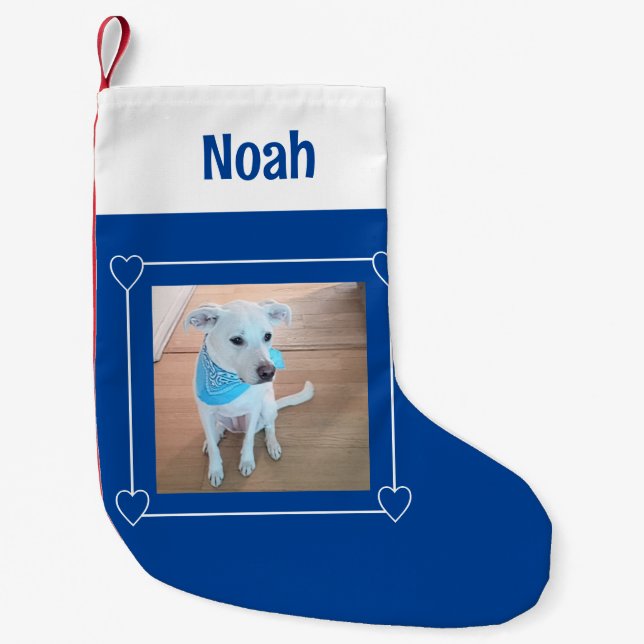 Meia De Natal Pequena Foto fotógrafa doce Cachorro Azul e Branco (Frente)