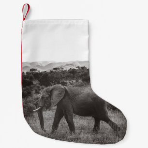 MEIA DE NATAL PEQUENA FOTO GRAYSCALE DE CINZA ELEFANTE PERTO DAS ÁRVORE