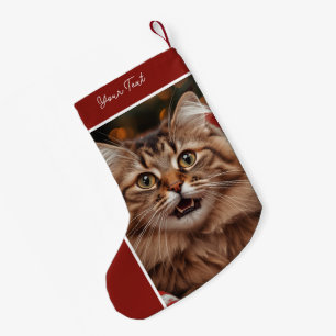 Meia De Natal Pequena Foto & Nome de Gato Personalizado