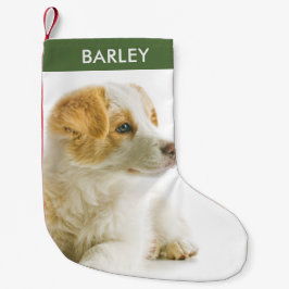Meia De Natal Pequena Foto Personalizada de Cachorro Imagem de Animal de