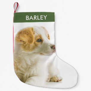 Meia De Natal Pequena Foto Personalizada de Cachorro Imagem de Animal de