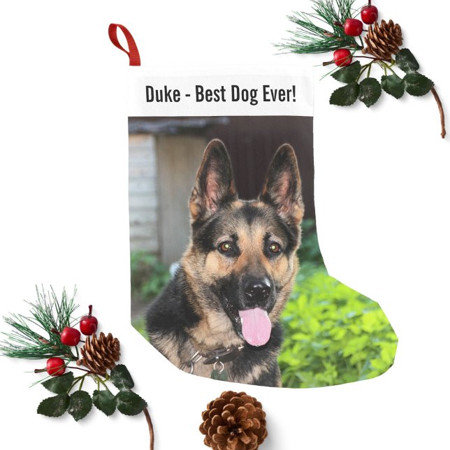 Meia De Natal Pequena Foto personalizada do cão German shepherd, Nome do (Criador carregado)