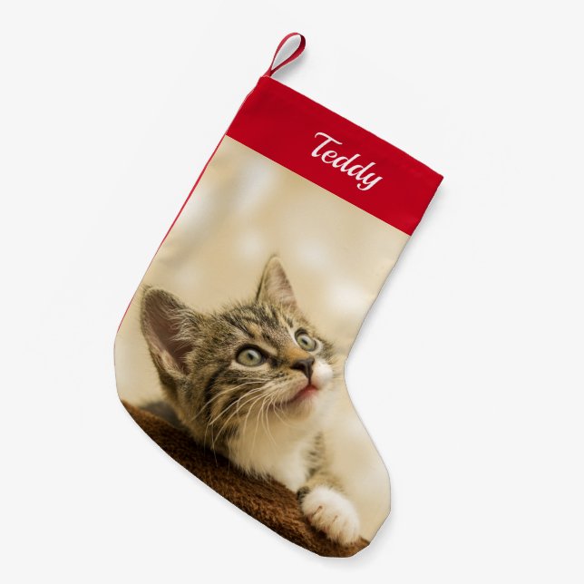 Meia De Natal Pequena Foto Pet Personalizada (Frente (Pendurada))
