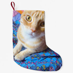 Meia De Natal Pequena Gato malhado alaranjado na edredão