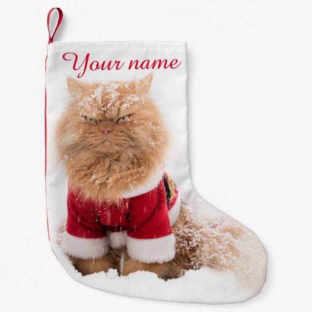 Meia De Natal Pequena Gato persa com roupa de Natal na neve (Frente)