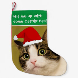 Meia De Natal Pequena Gatos de Badass - "Catnip "