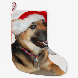 Meia De Natal Pequena German shepherd Papai Noel