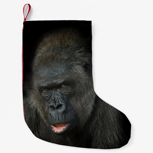 Meia De Natal Pequena Gorilla Biddy Christmas Stocks (Frente)
