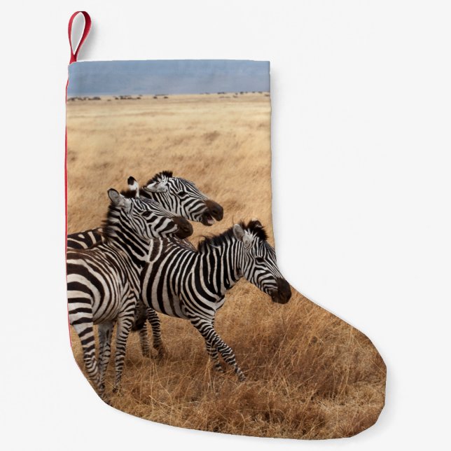 MEIA DE NATAL PEQUENA HORSE RACE (Frente)