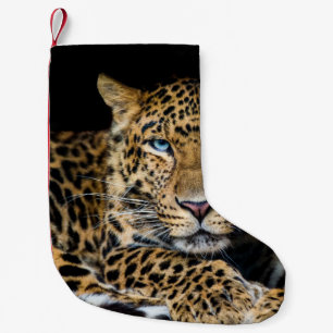 Meia De Natal Pequena Ilustração do Jardim Zoológico Leopardo do Norte d