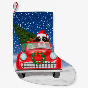 Meia De Natal Pequena Inglês Springer Spaniel Cog Car No Natal Da Neve