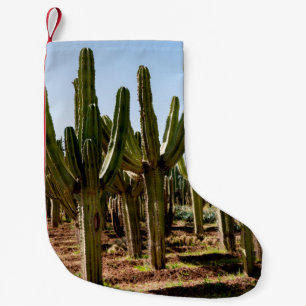 Meia De Natal Pequena Jardim Cactos. Cactos altos verdes e suculentos cr