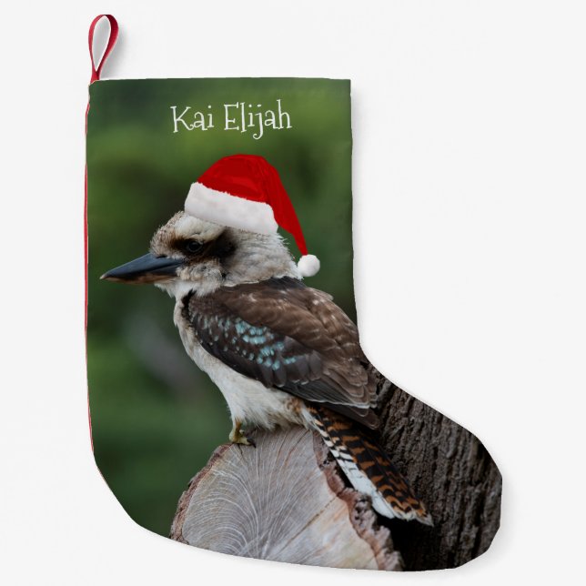 Meia De Natal Pequena Kookaburra Bird Red Santa Hat Natal (Frente)
