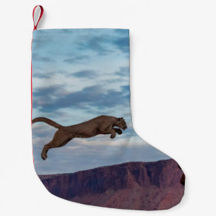 Meia De Natal Pequena Leão Montanhês Salto Amanhã no Skypulo, leão, anim