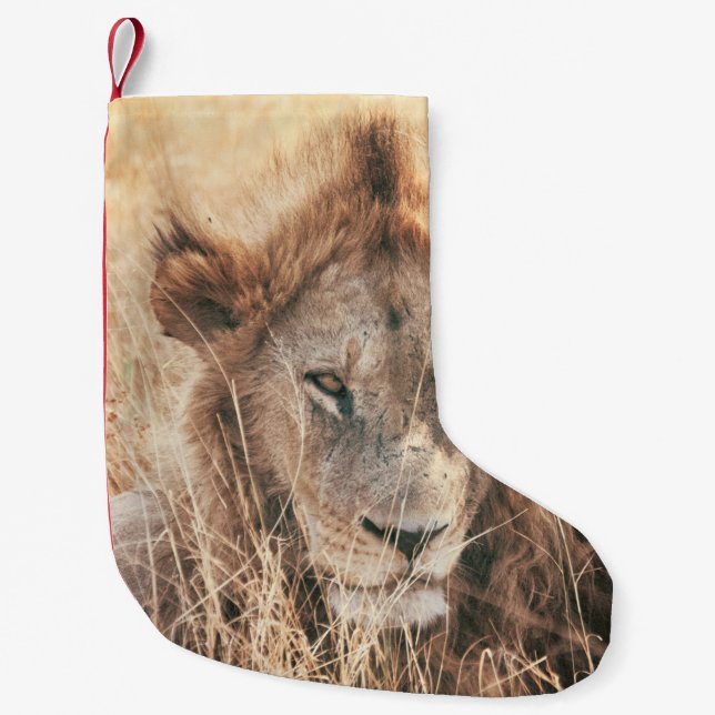 MEIA DE NATAL PEQUENA LION KING (Frente)