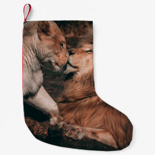MEIA DE NATAL PEQUENA LION LYY NA ROCHA MARAVILHOSA