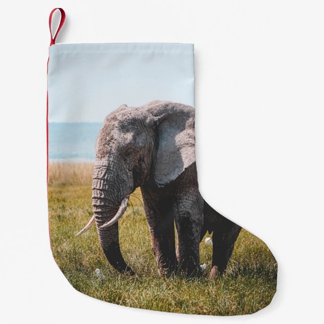 MEIA DE NATAL PEQUENA LOVELMENTE ELEFHANT (Frente)