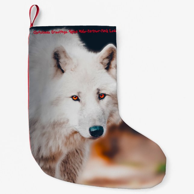 Meia De Natal Pequena Meia de Natal Meu Velho Castor (Frente)