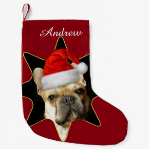 Meia De Natal Pequena Meia personalizada do buldogue francês do Natal