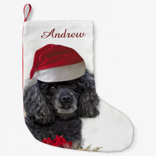 Meia De Natal Pequena Meia personalizada do cão de caniche do Natal
