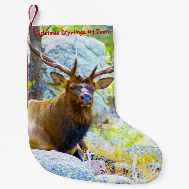 Meia De Natal Pequena Natal Arrancando Meu Velho Deerest (Frente)