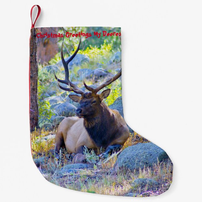 Meia De Natal Pequena Natal Arrancando Meu Velho Deerest (Frente)