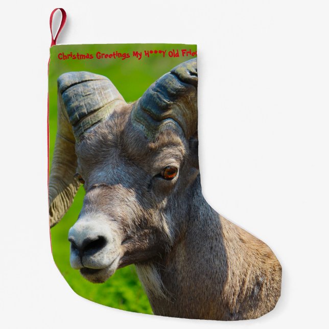 Meia De Natal Pequena Natal Arrumando Meu Velho Amigo (Frente)