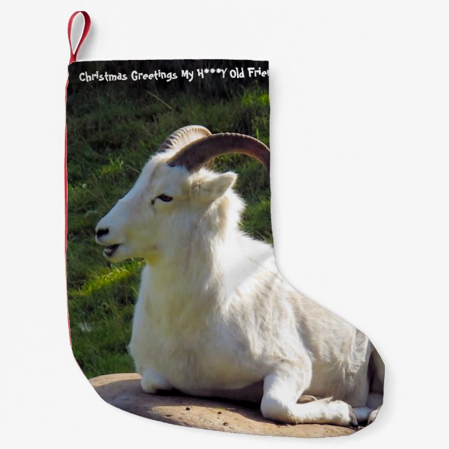 Meia De Natal Pequena Natal Arrumando Meu Velho Amigo (Frente)