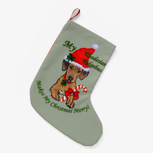 Meia De Natal Pequena Natal de Rhodesian Ridgeback