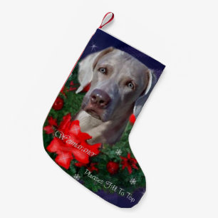 Meia De Natal Pequena Natal de Weimaraner