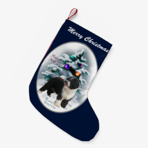 Meia De Natal Pequena Natal do Cão de Água Espanhol