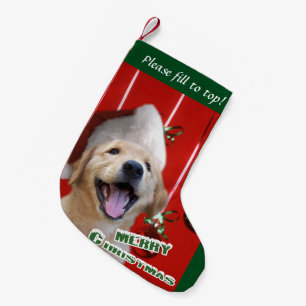Meia De Natal Pequena Natal do filhote de cachorro do golden retriever