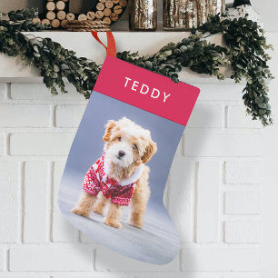 Meia De Natal Pequena Natal dos cães Foto De Pet Vermelho Moderno, Cu