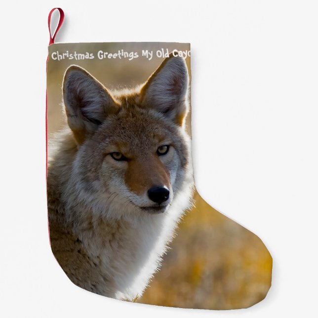 Meia De Natal Pequena Natal estocando meu velho Coyote (Frente)