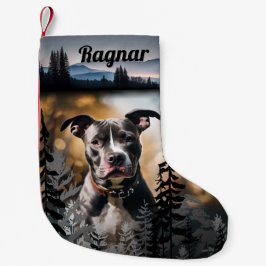 Meia De Natal Pequena Natureza Parecia Estocagem