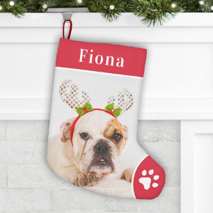 Meia De Natal Pequena Nome da Foto do Cão Vermelho e Branco em Negrito