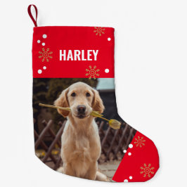 Meia De Natal Pequena Nome de Foto de Pet Cute