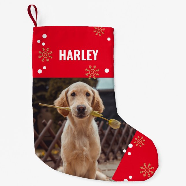 Meia De Natal Pequena Nome de Foto de Pet Cute (Frente)