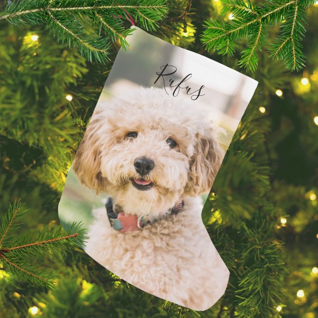 Meia De Natal Pequena Nome e Foto Personalizados do Animal de Estimação (Personalized Pet Name and Photo Small Christmas Stocking)