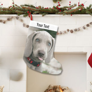 Meia De Natal Pequena Nome personalizado da foto do cão de Weimaraner e